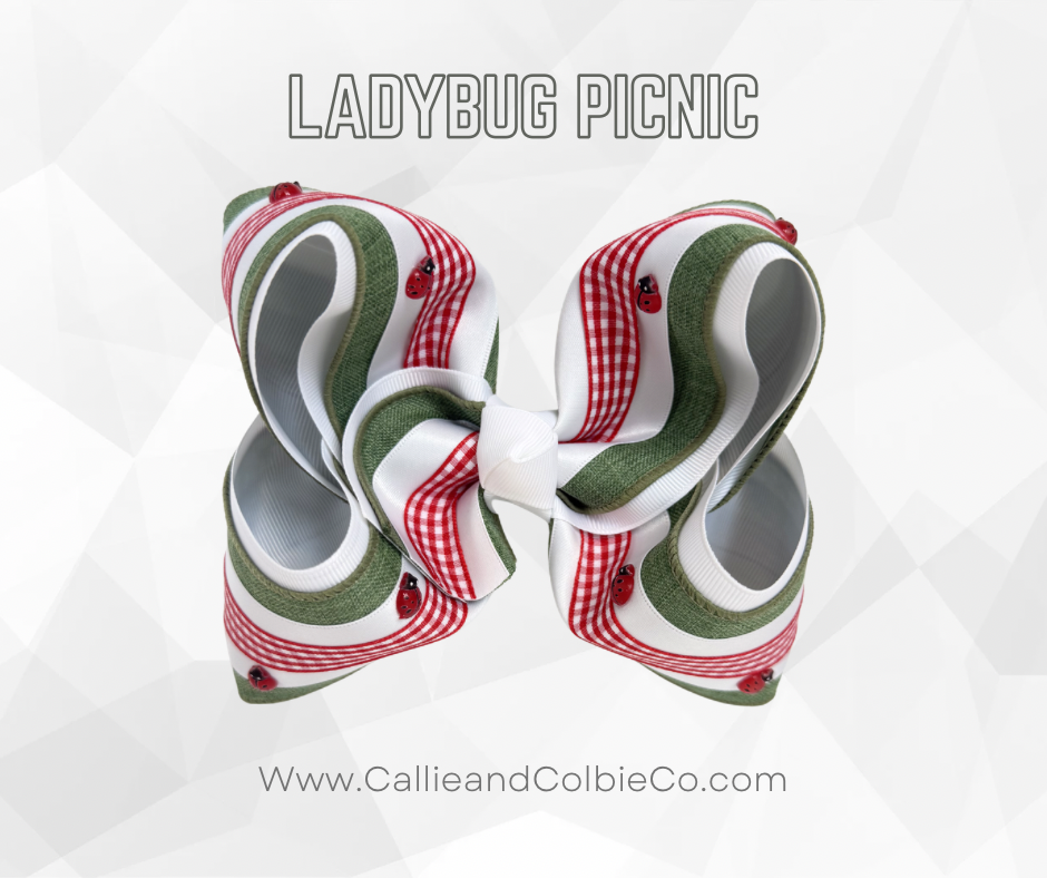 Ladybug Picnic